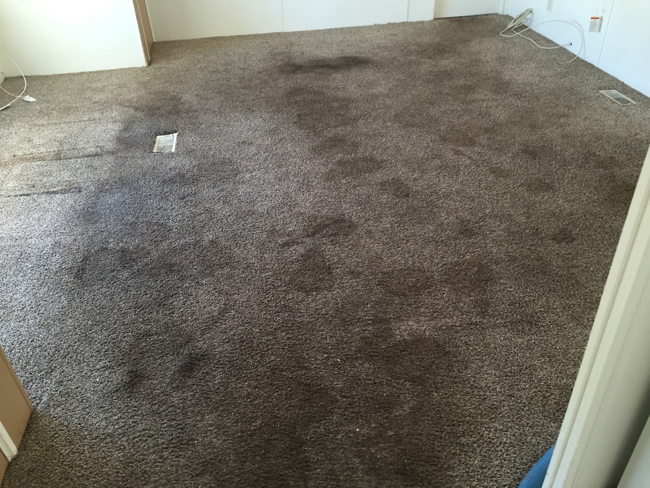 Dave's Carpet and Tile Cleanng Co. project
