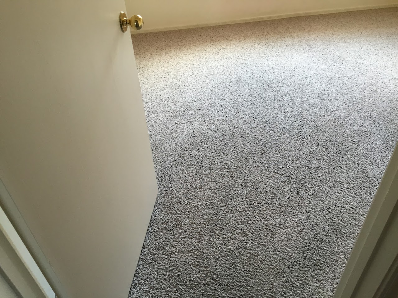 Dave's Carpet and Tile Cleanng Co. project
