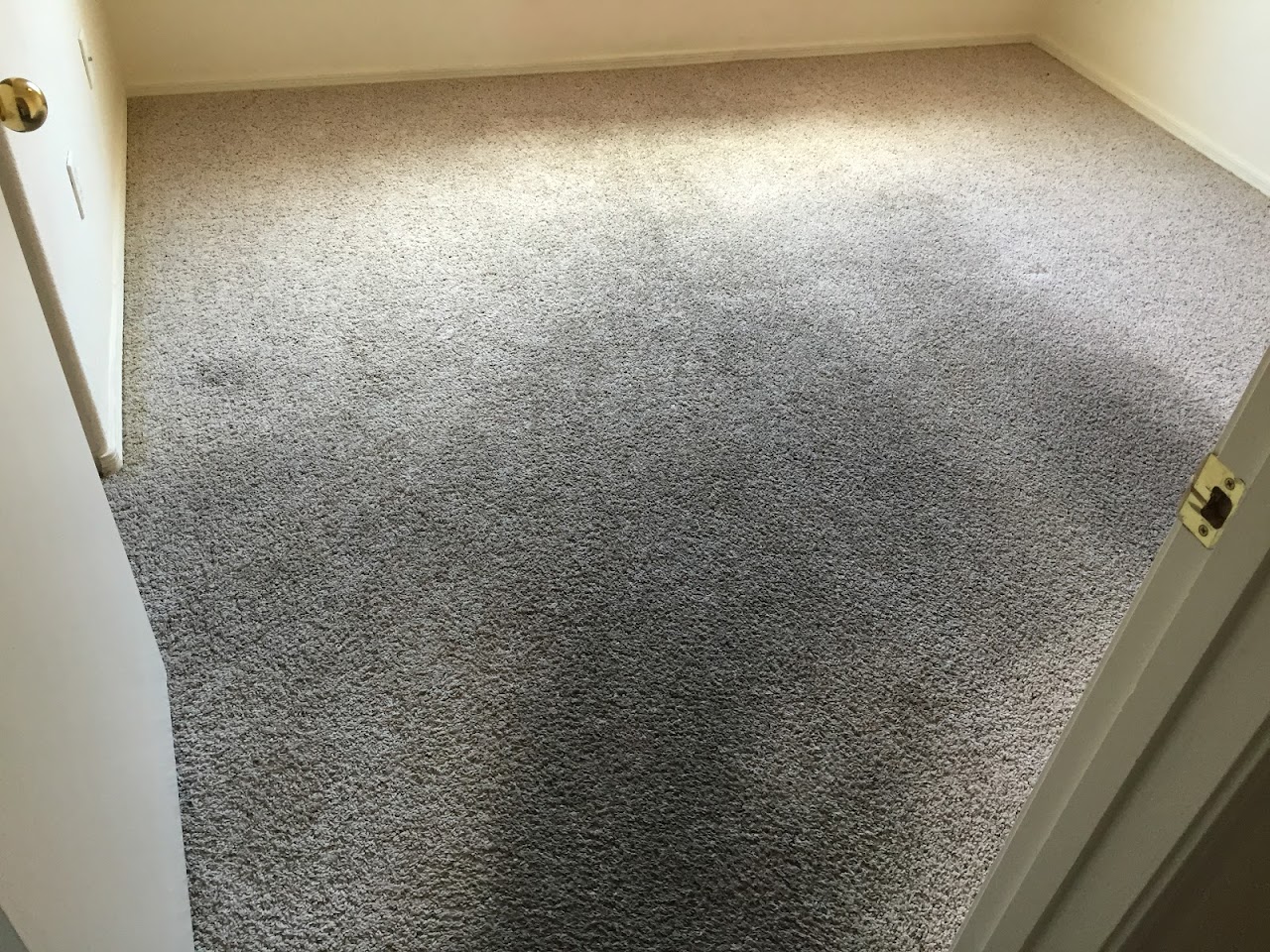 Dave's Carpet and Tile Cleanng Co. project